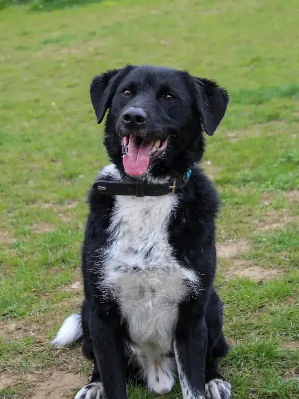 Spike -  - Bild 4