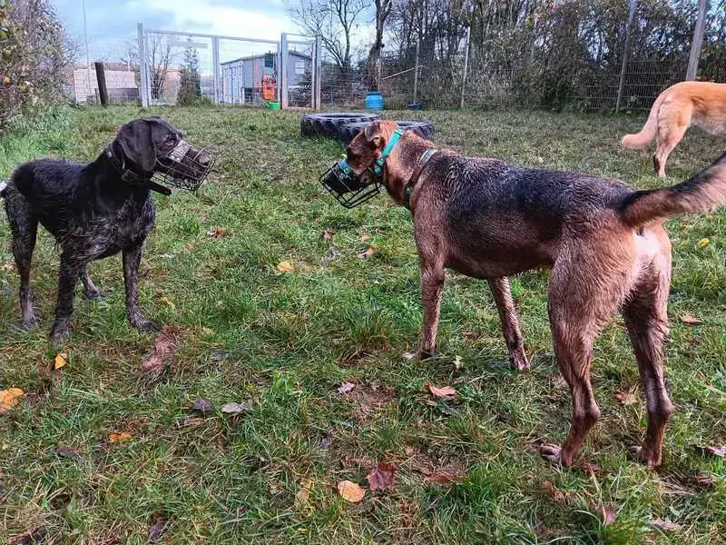 Sam -  - Bild 14