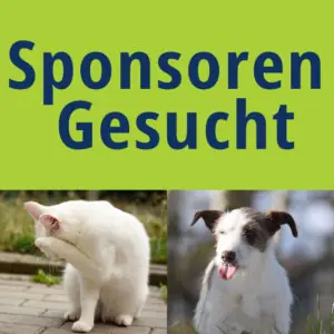 Pepco -  - Bild 1