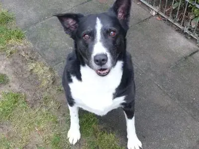Maja -  - Bild 5