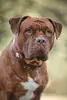 Alfi -  - Bild 3