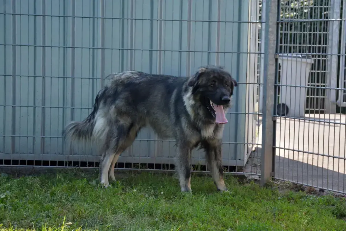 Rocky -  - Bild 32