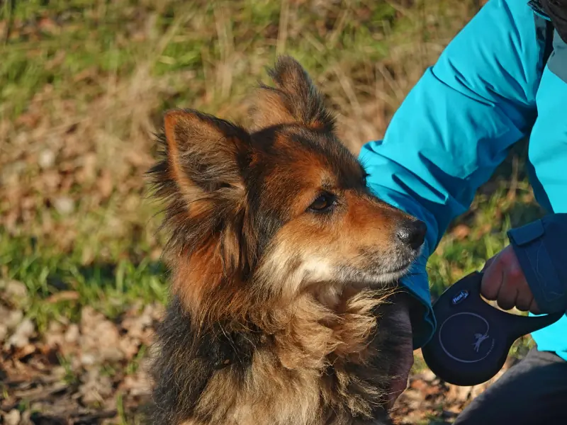 Loui -  - Bild 45