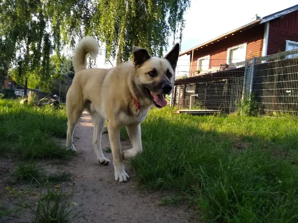 Isidor -  - Bild 2