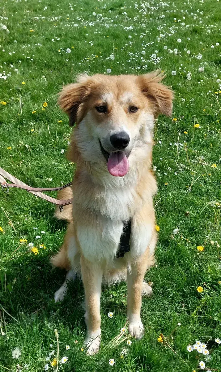 Milo -  - Bild 1