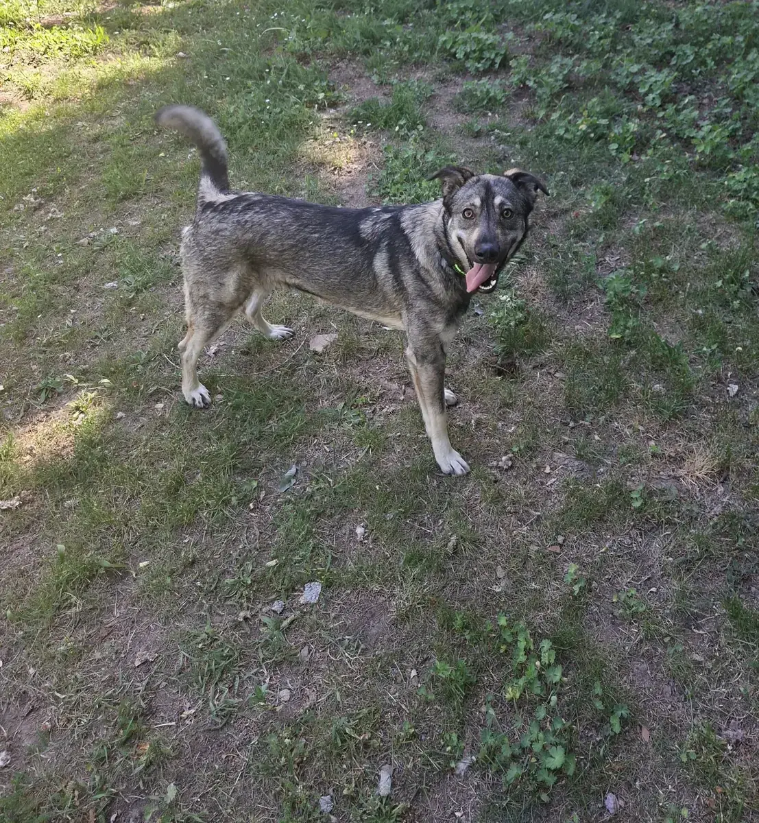 Hannah -  - Bild 3