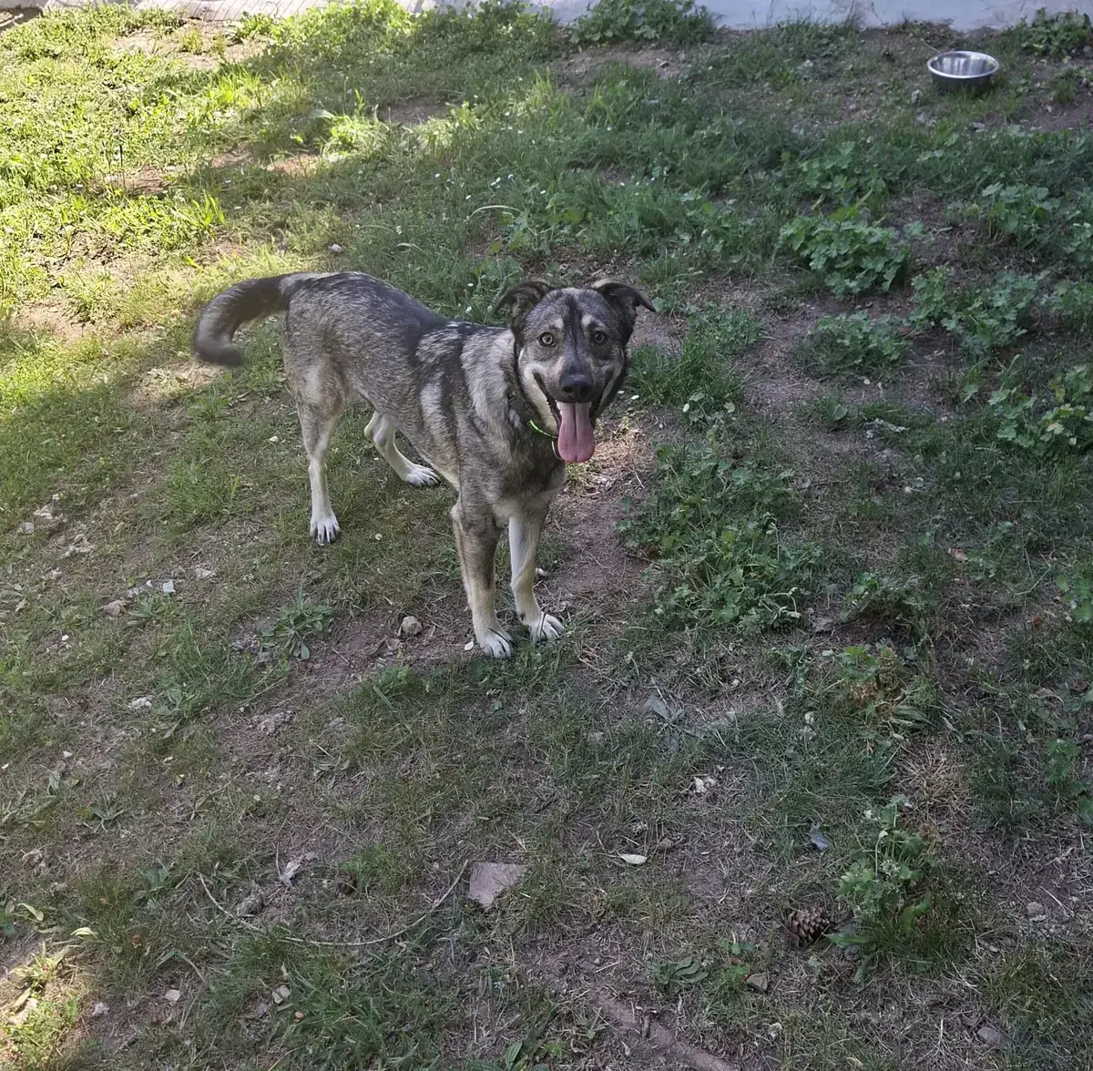 Hannah -  - Bild 2