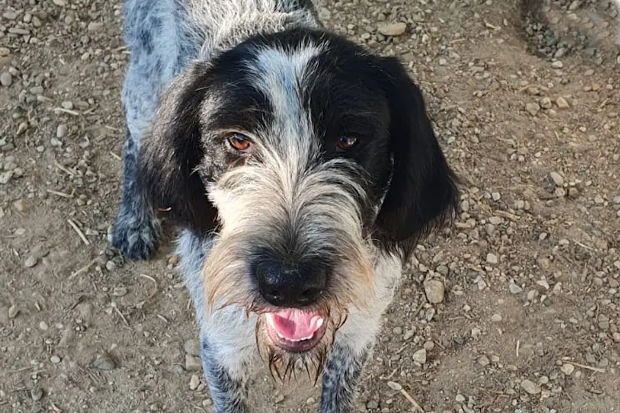 Berta -  - Bild 1