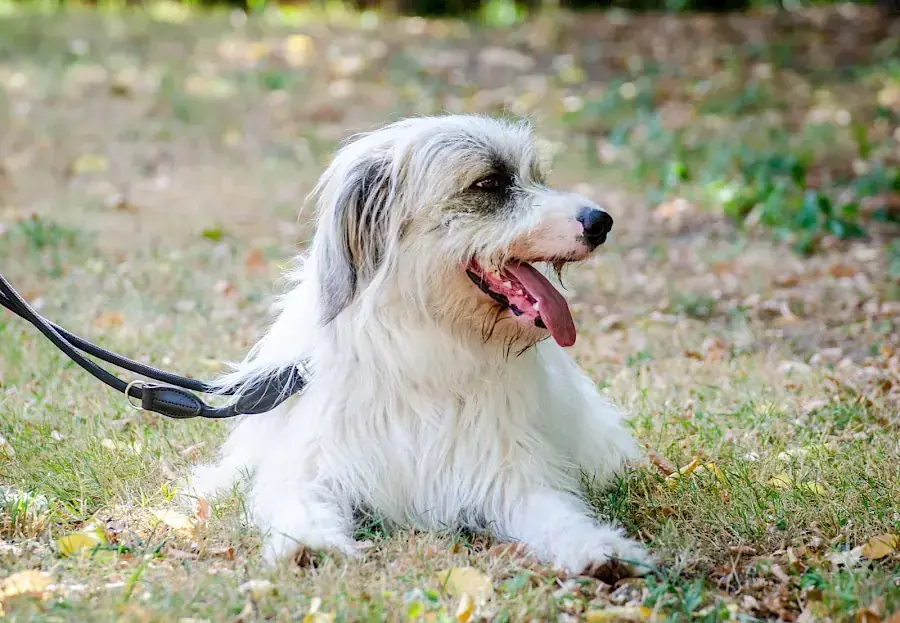 Salo -  - Bild 5