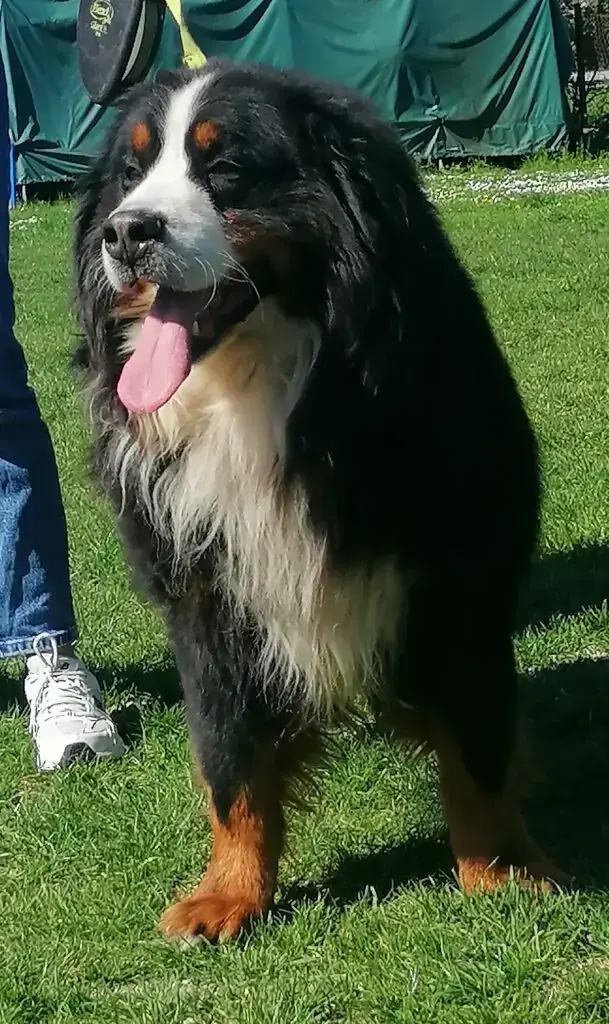 Lucky -  - Bild 1