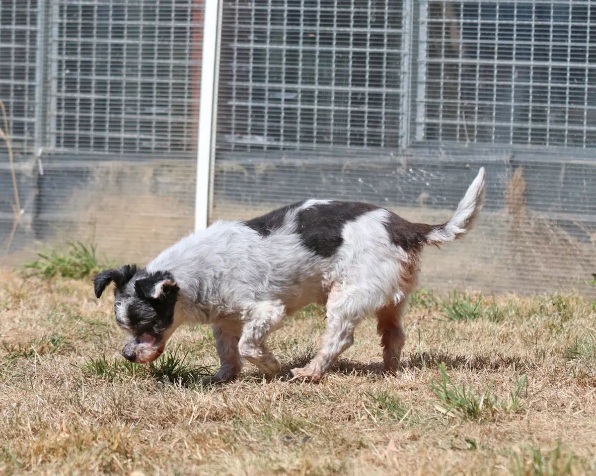Andi -  - Bild 4