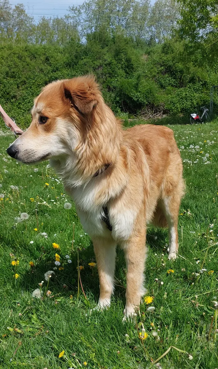 Milo -  - Bild 2