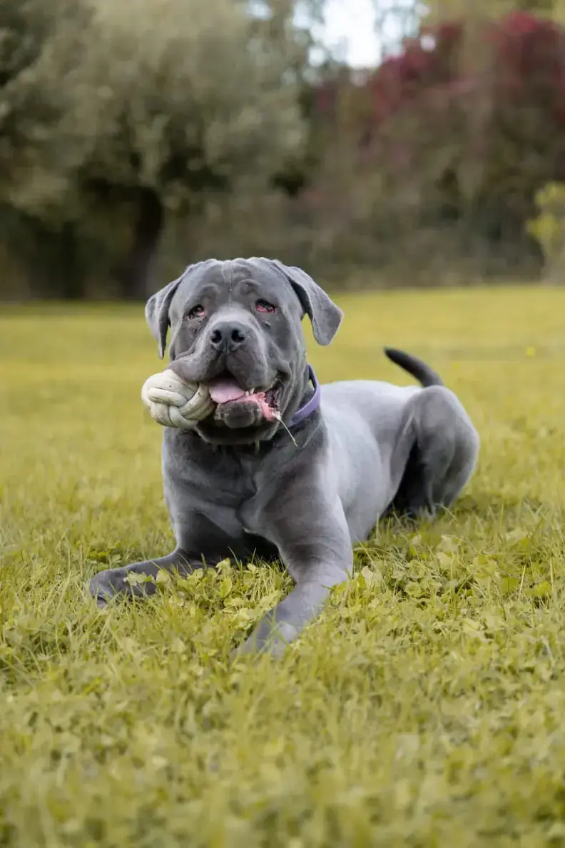 Marley -  - Bild 1