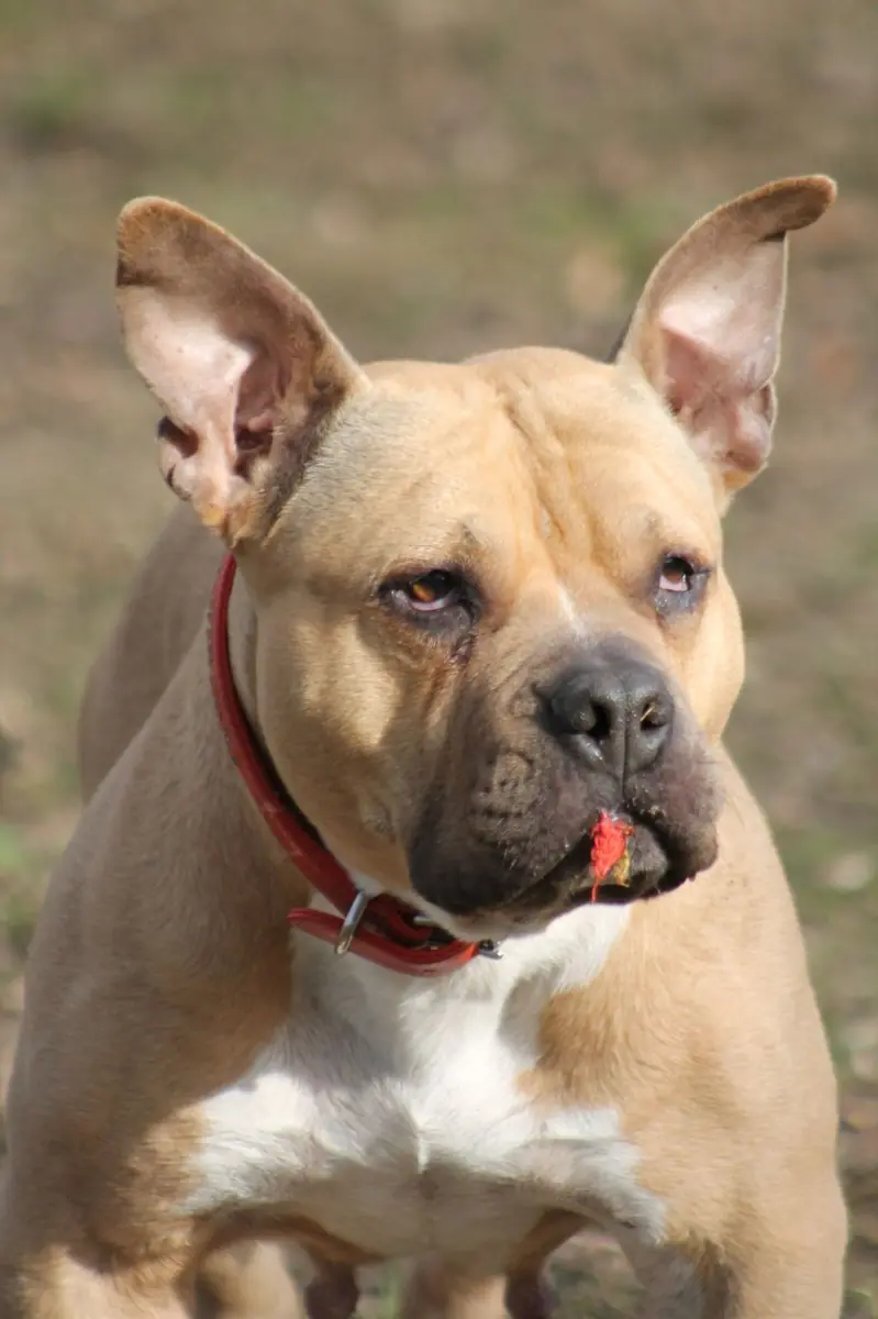 Lina -  - Bild 4