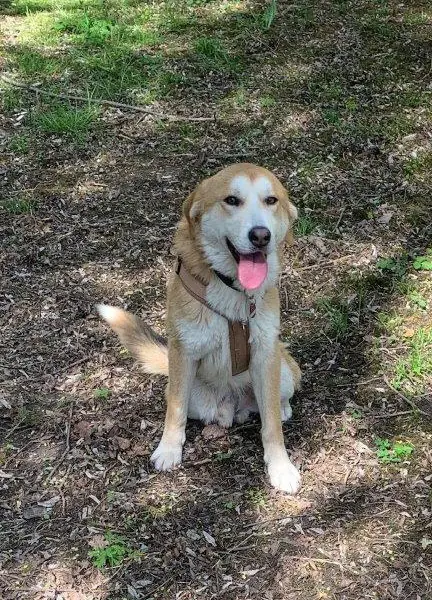 Milo -  - Bild 1