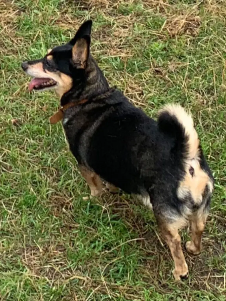 Lissy -  - Bild 4