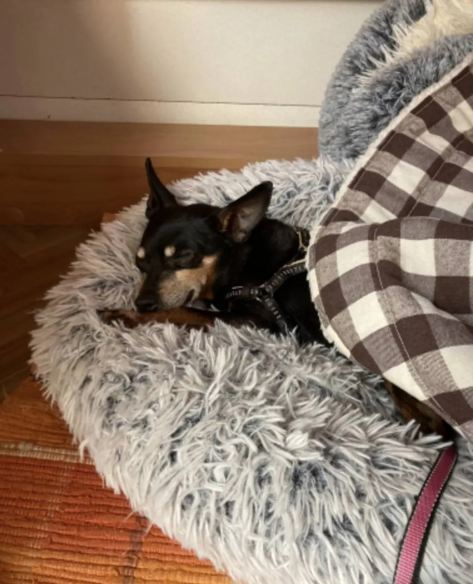 Lenny -  - Bild 4