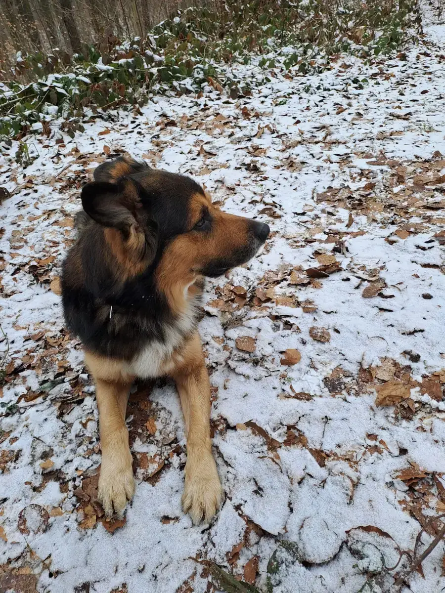 Rocky -  - Bild 5