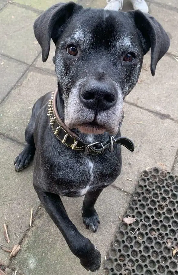 Clyde -  - Bild 2