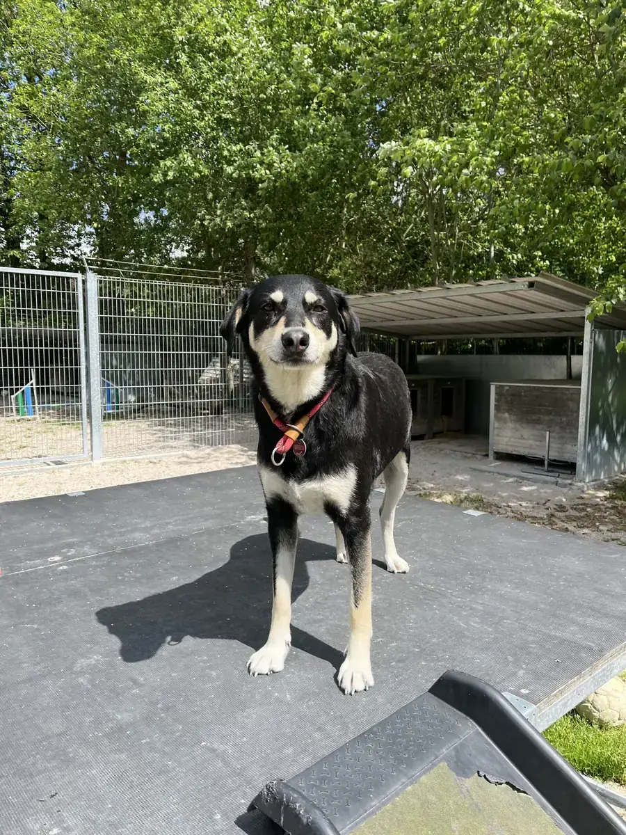 Luna -  - Bild 2