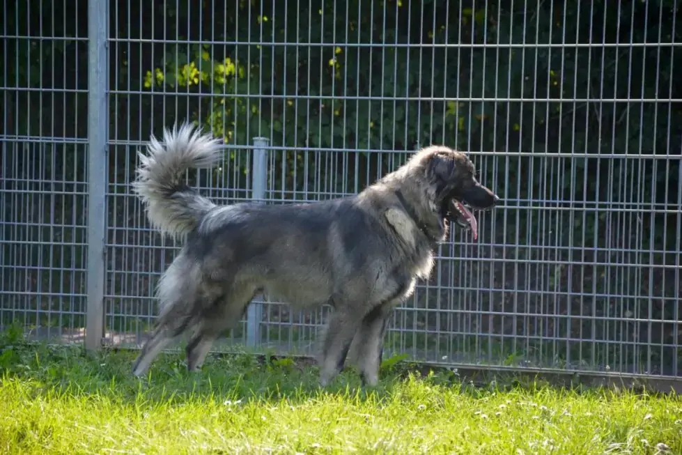Rocky -  - Bild 8