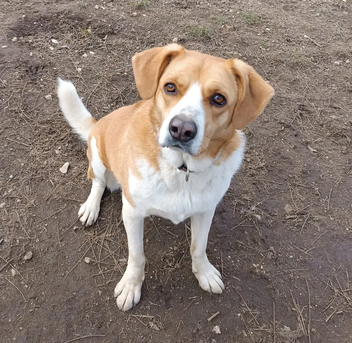 Ruby -  - Bild 1