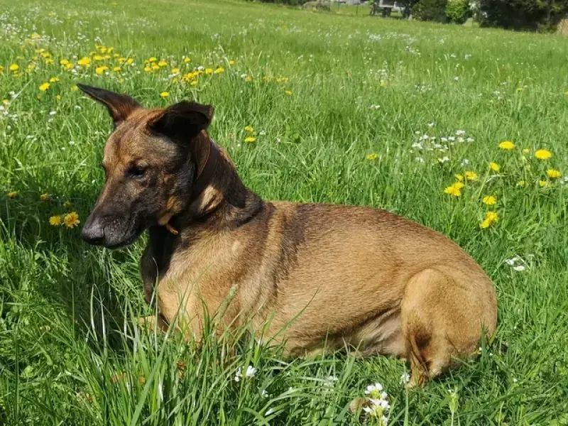 Aki -  - Bild 35