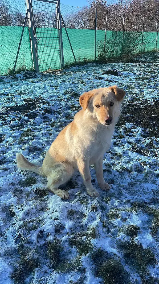 Elly -  - Bild 2
