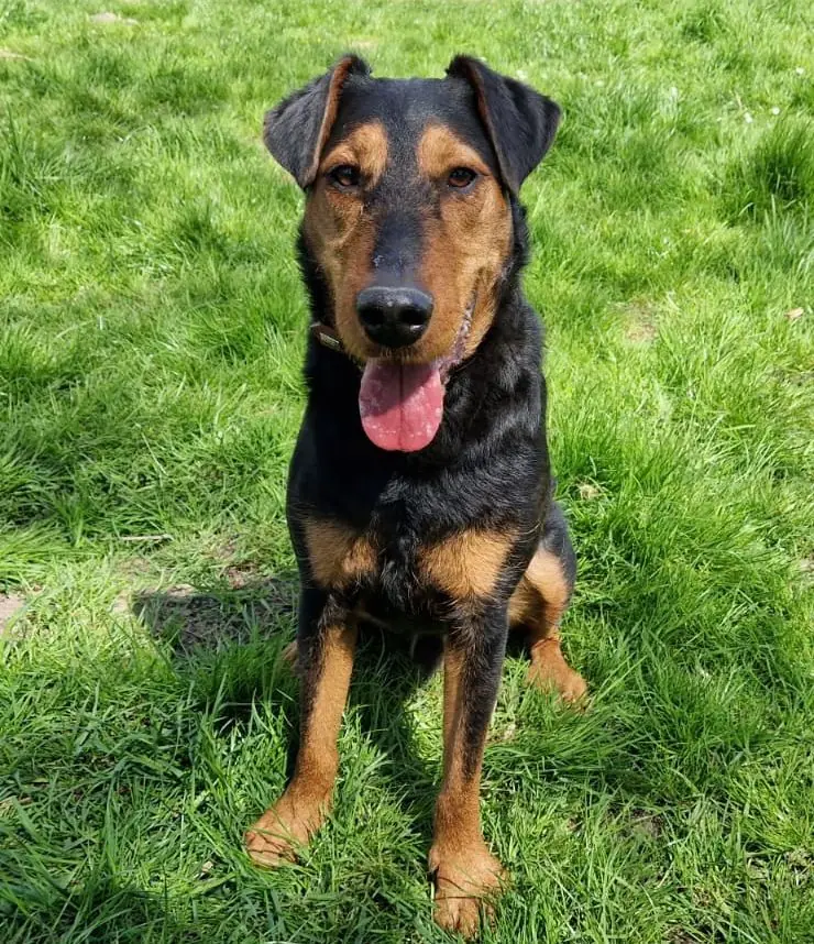 Rudi -  - Bild 4