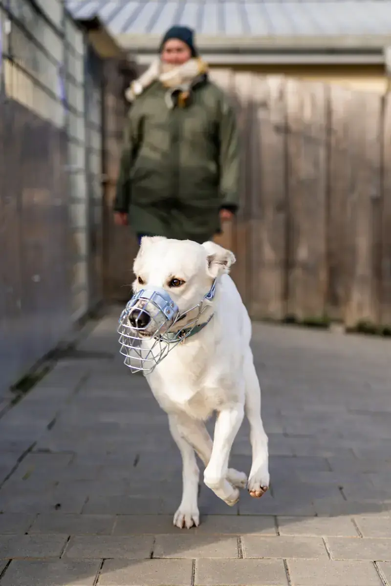 Samy -  - Bild 8