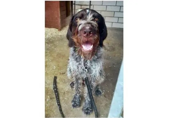 Apollo -  - Bild 1