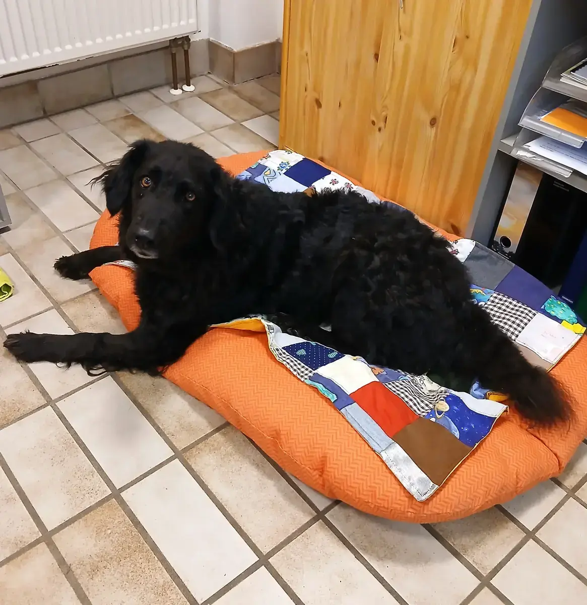Mira -  - Bild 5