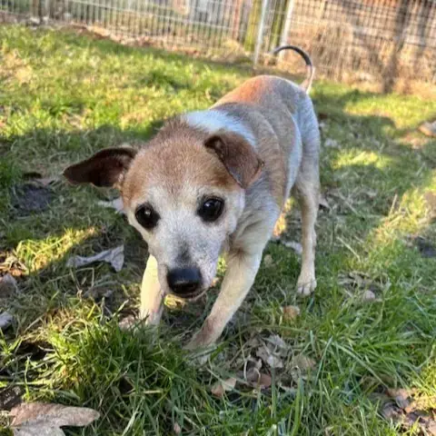 Emma -  - Bild 2