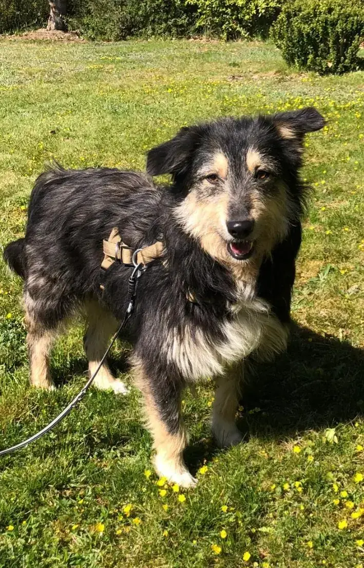 Greta -  - Bild 6
