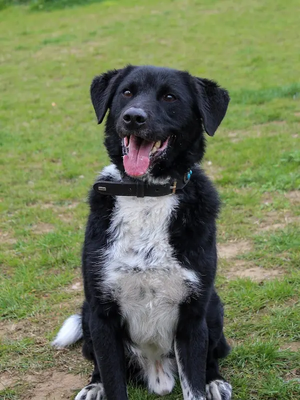 Spike -  - Bild 4