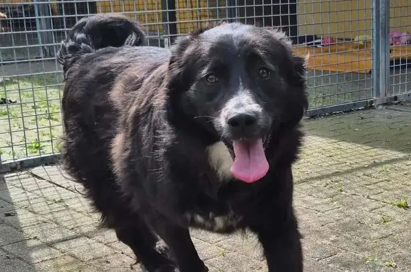 Wilma -  - Bild 1