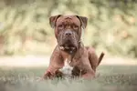 Alfi -  - Bild 7