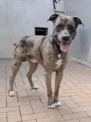 Mix Arturo