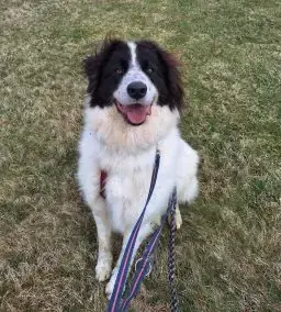 Mix Sam