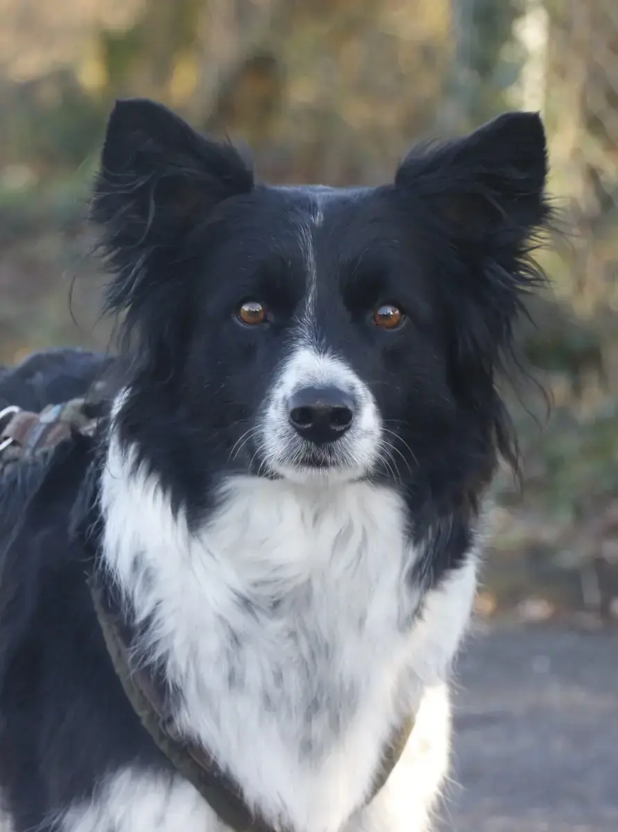 Emmi -  - Bild 1