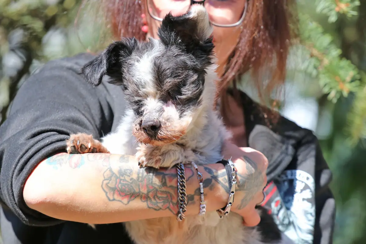 Andi -  - Bild 11