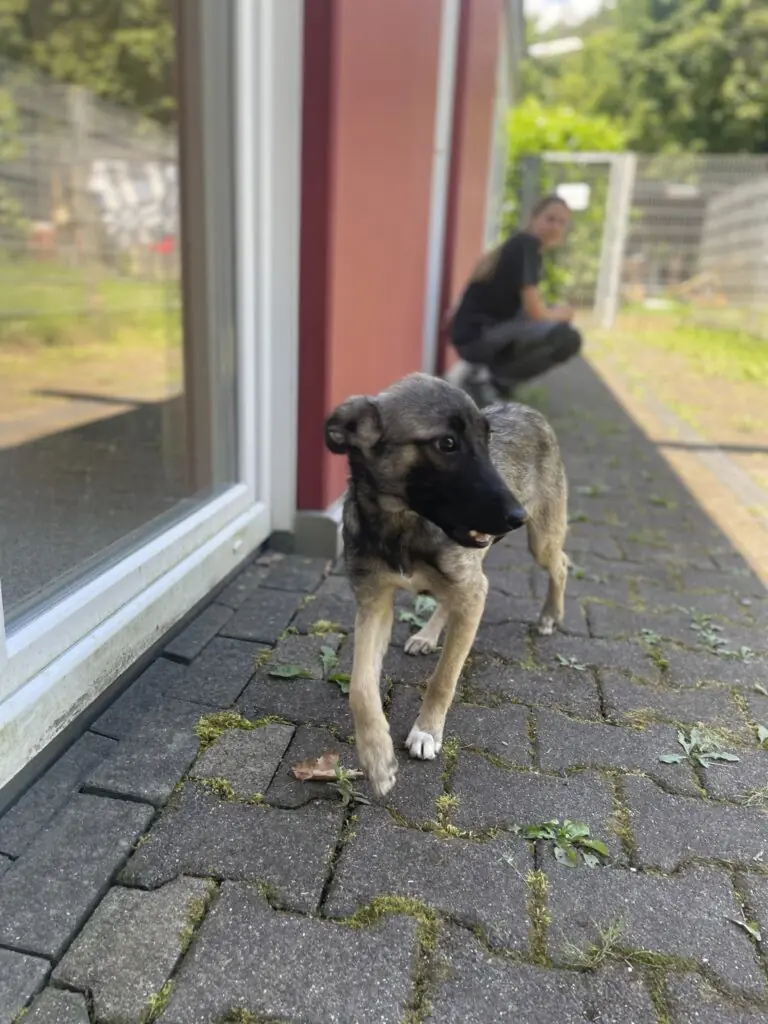 Maggie -  - Bild 2