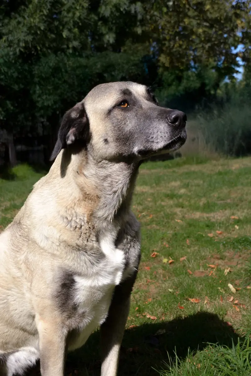 Tami -  - Bild 5