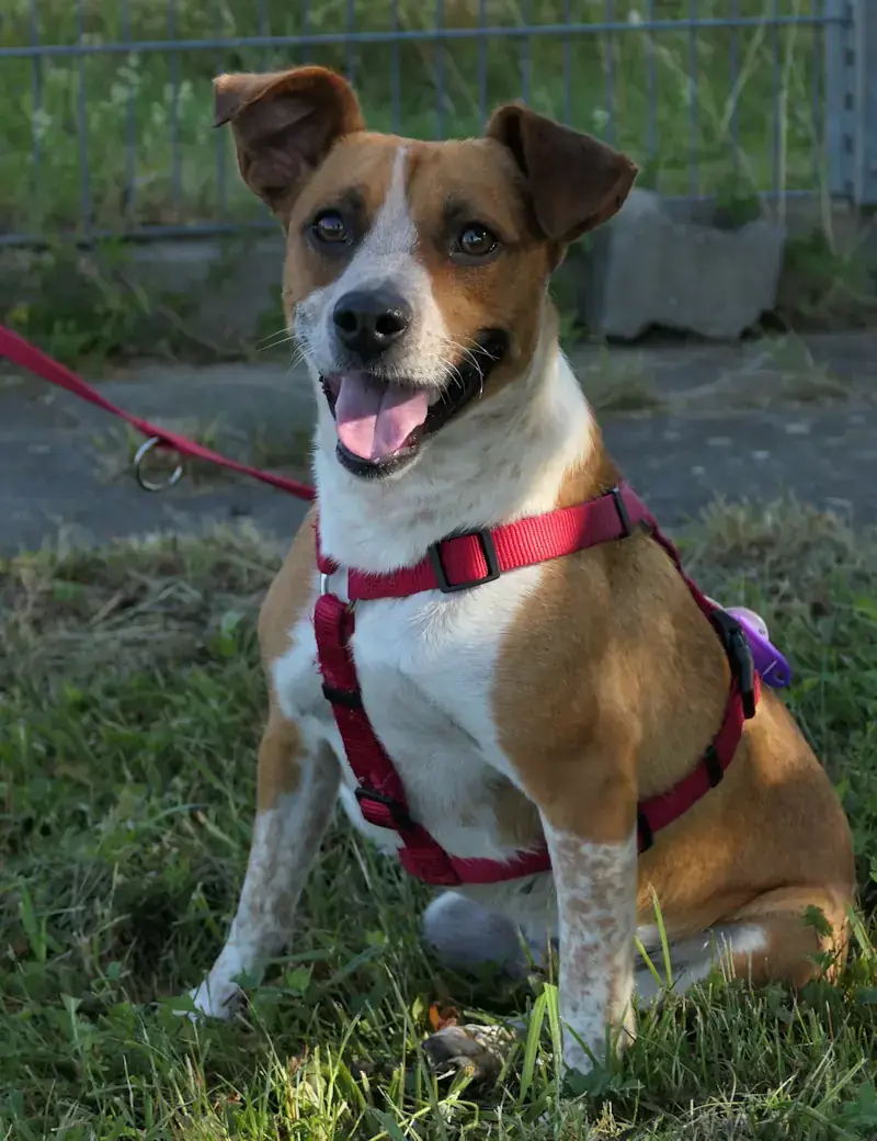 Lotti -  - Bild 1