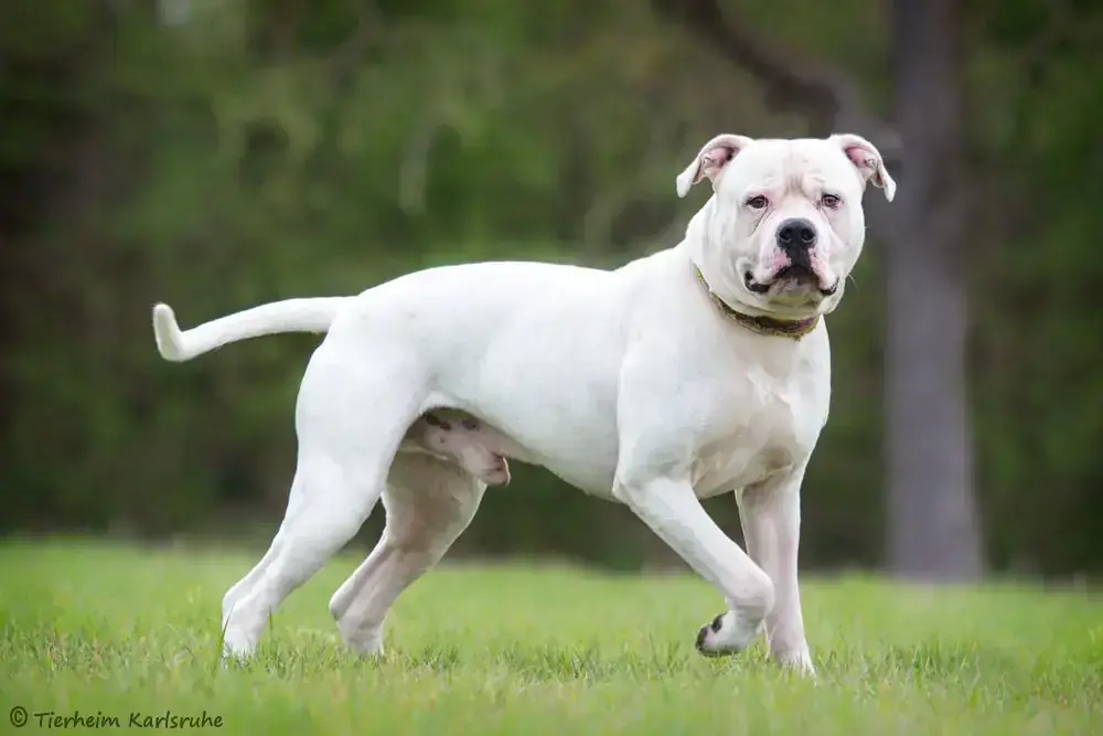 Zeus -  - Bild 2
