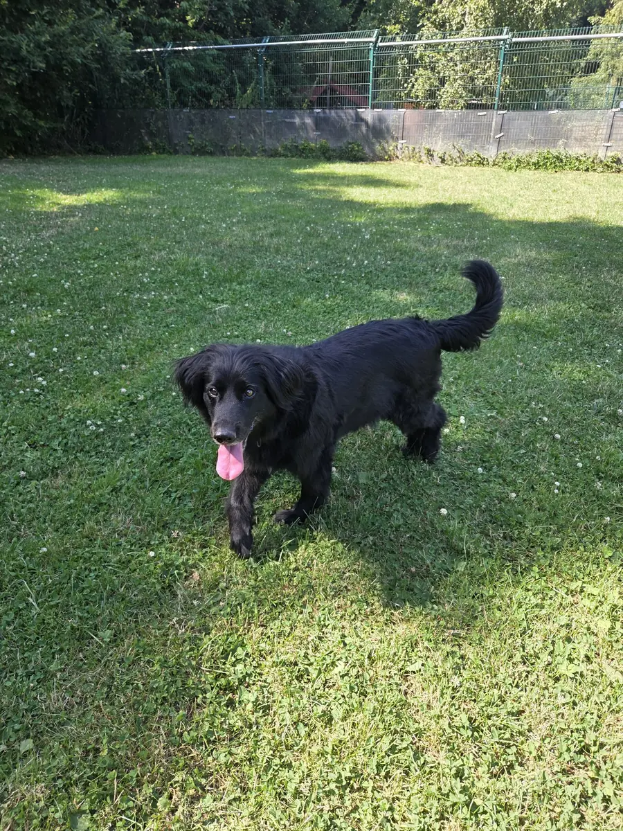 Connie -  - Bild 3