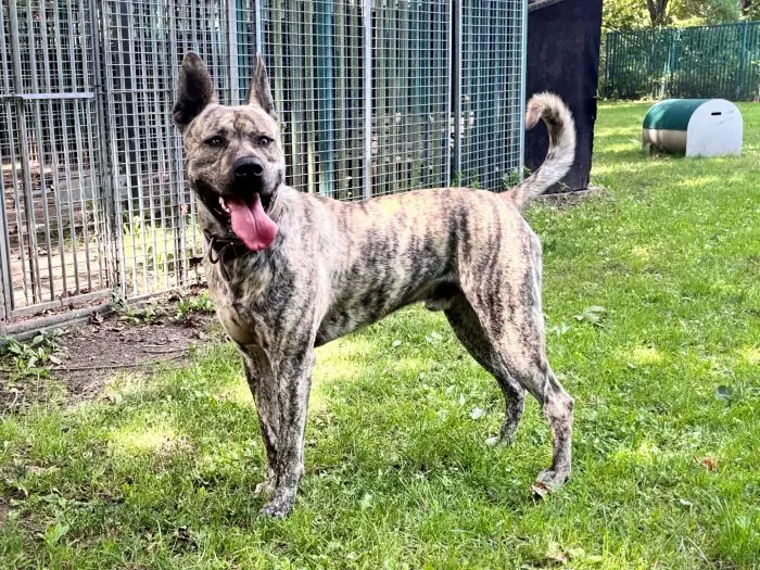 Milo -  - Bild 5