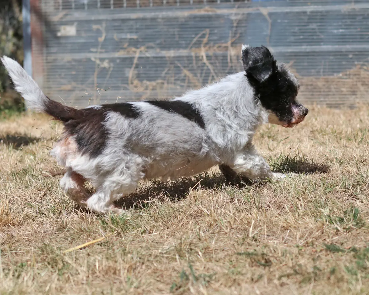 Andi -  - Bild 10