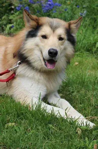 Jack -  - Bild 4