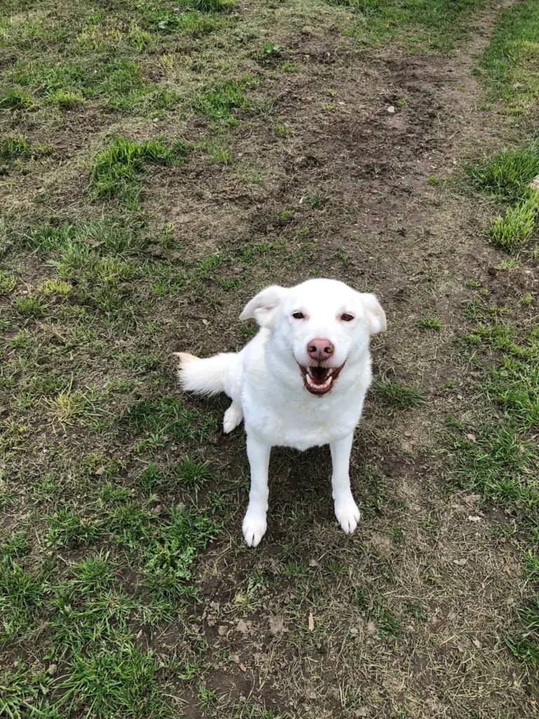 Bella -  - Bild 2